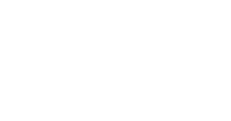 Castello Cheese Logo